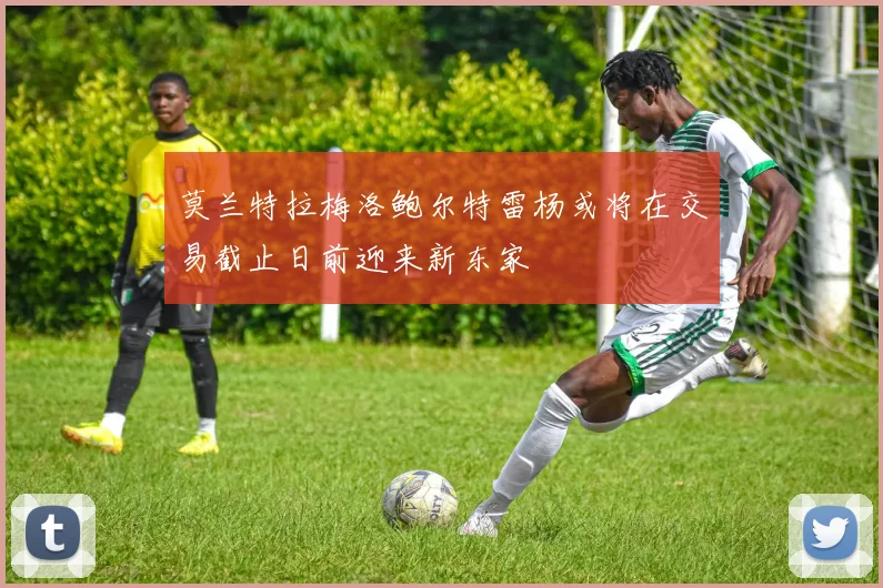 莫兰特拉梅洛鲍尔特雷杨或将在交易截止日前迎来新东家