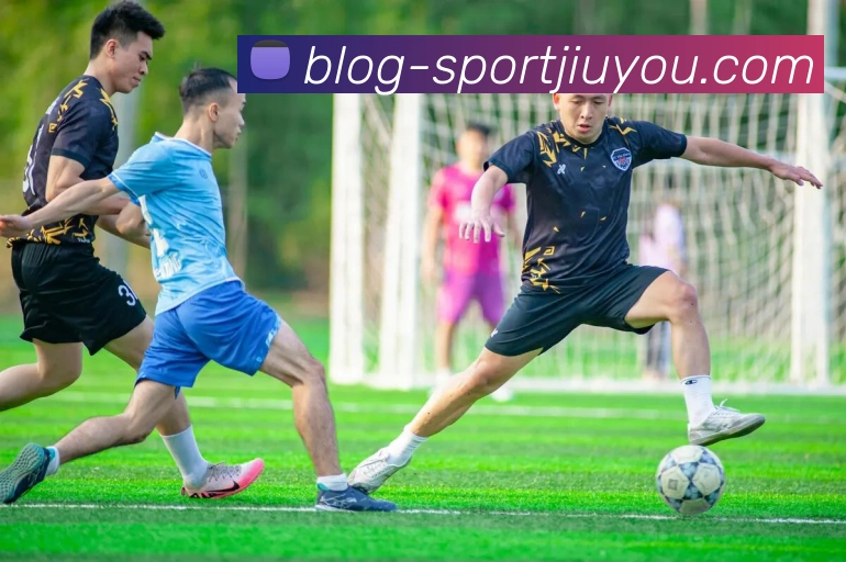互动解说服务